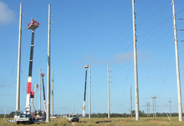 Powerline Transmission | Persal & Co