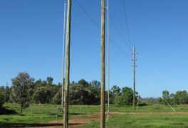 Powerline Transmission | Persal & Co
