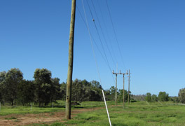 Powerline Transmission | Persal & Co