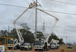 Powerline Transmission | Persal & Co